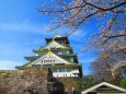 桜咲く大阪城