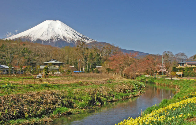 春の富士山