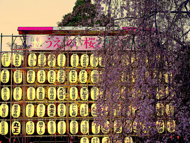 上野公園桜祭り