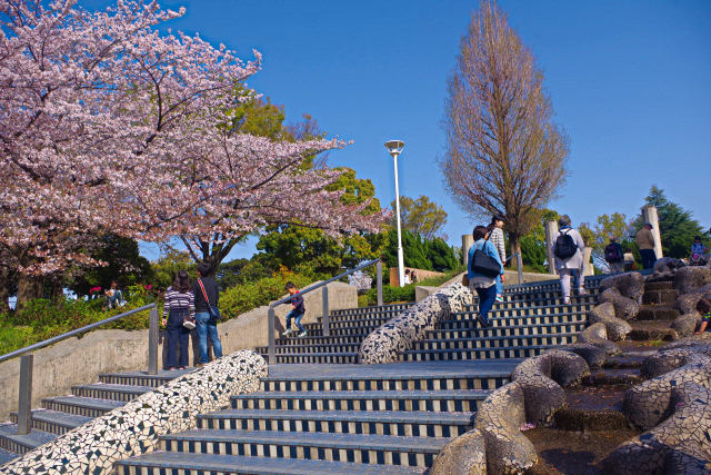 ガウディをイメージした公園