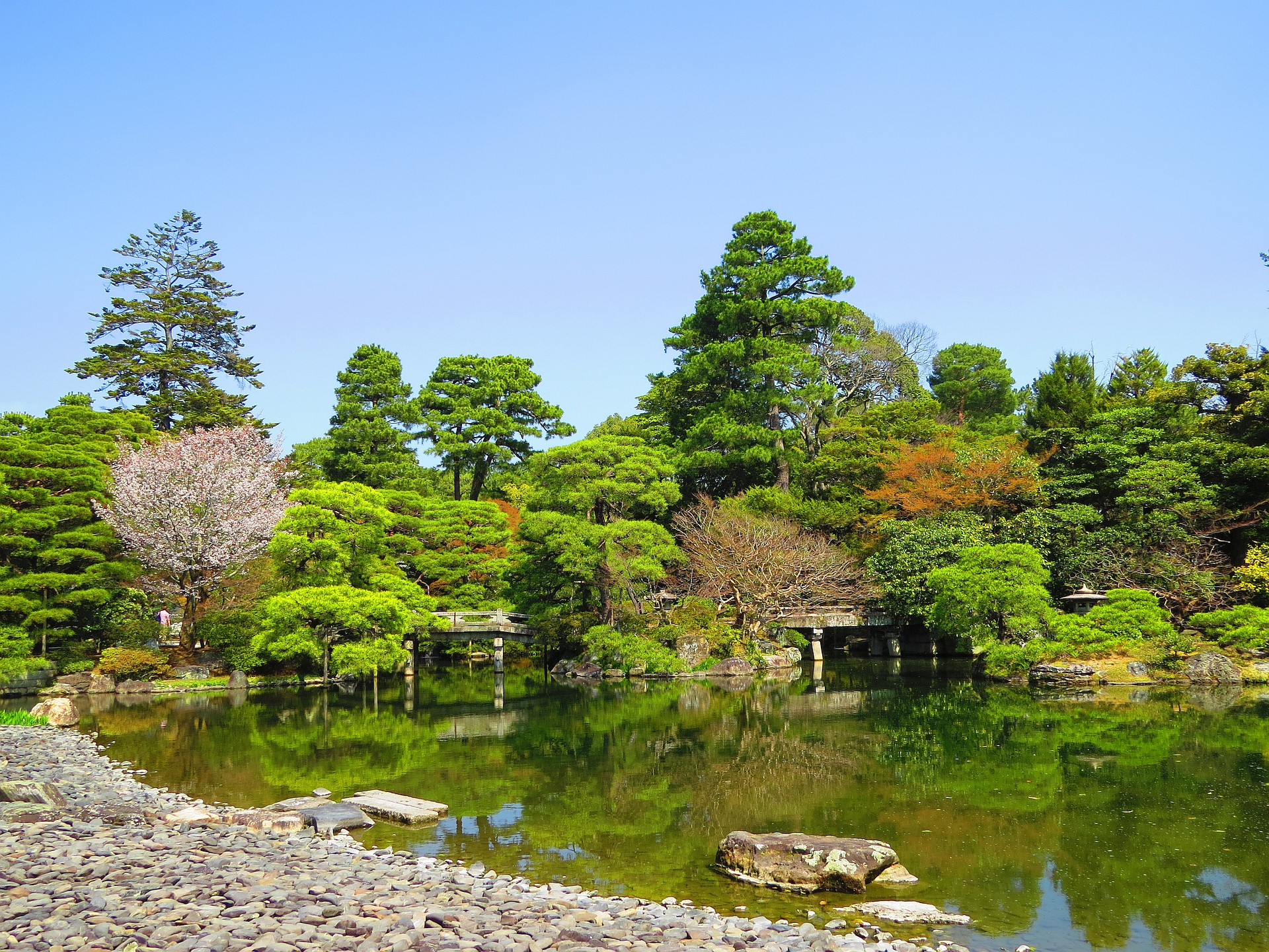 日本の風景 春の京都御所 御池の風景 壁紙19x1440 壁紙館