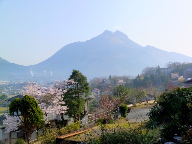 朝の由布岳