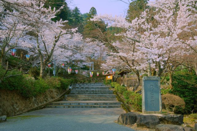 春の花筐公園