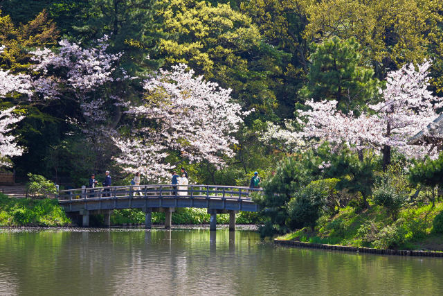 三渓園 春景色