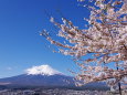 新倉山浅間公園より