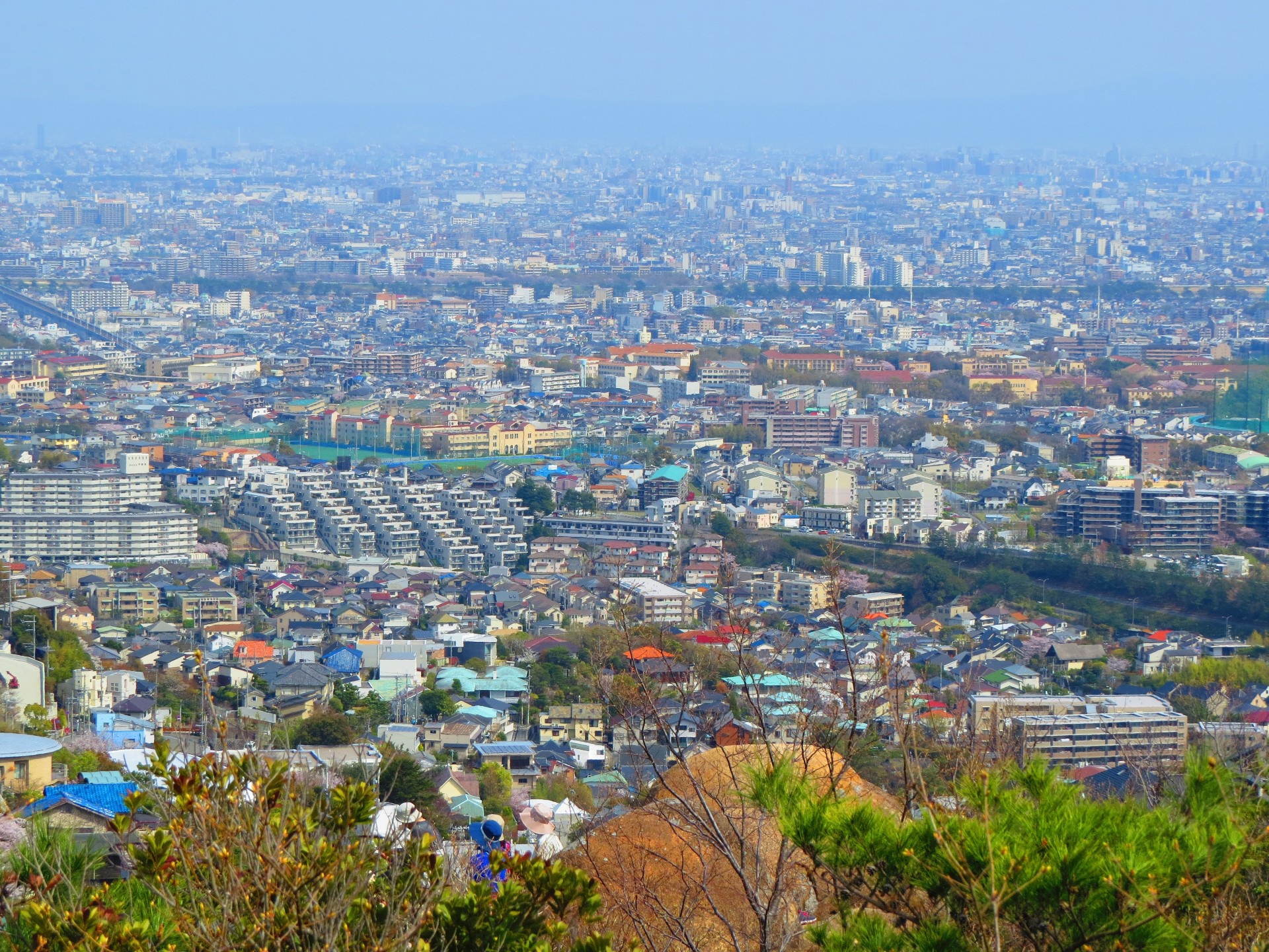 日本の風景 山上から見た阪神の街並み 壁紙19x1440 壁紙館
