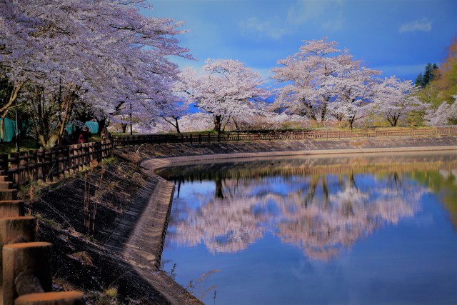 春の公園