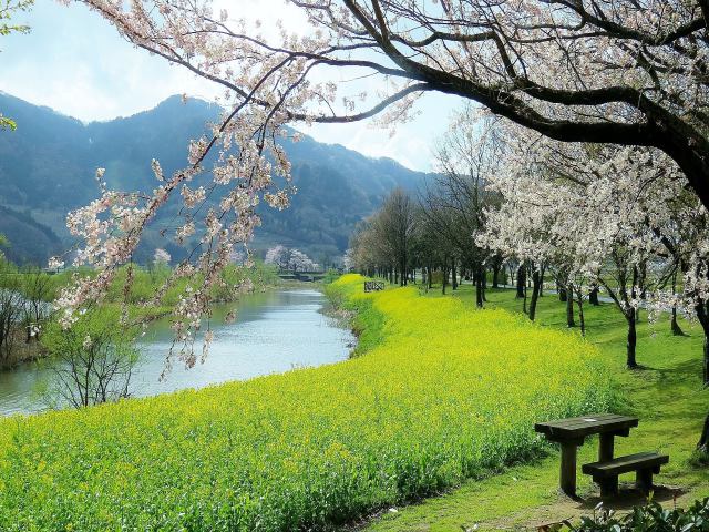 上堰潟公園