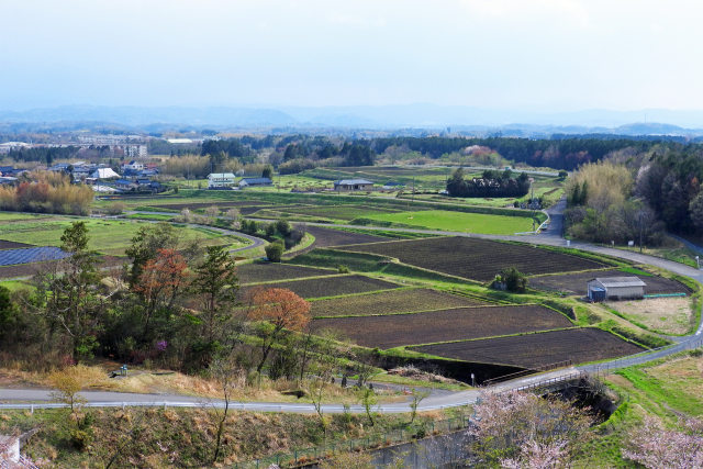 春の田園