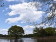 昭和記念公園、水鳥の池