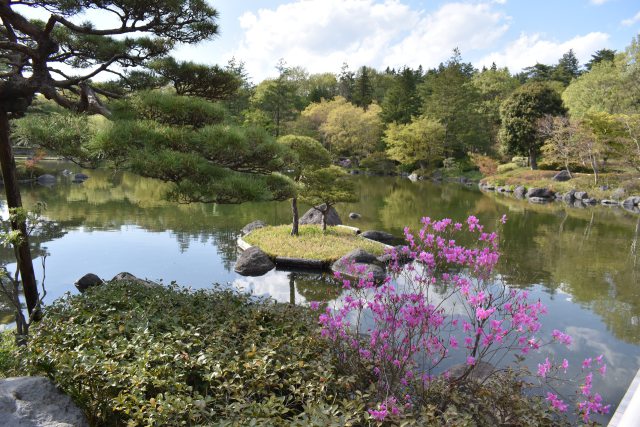 ツツジ咲く日本庭園