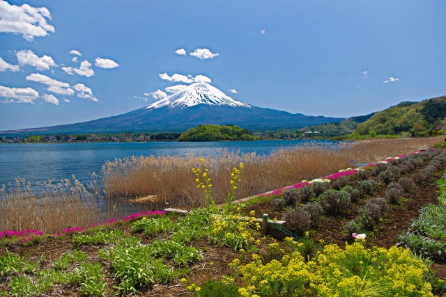 春の富士山