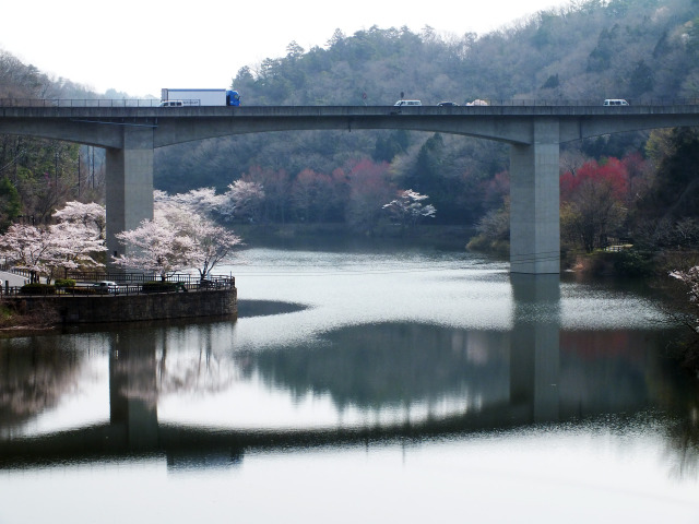 小渕ダム湖