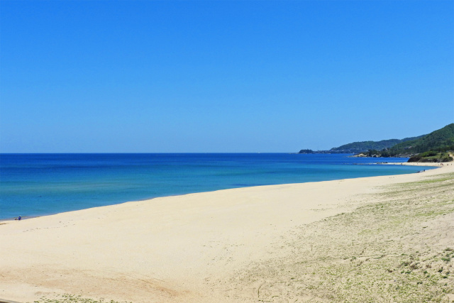 春の海岸-丹後半島3