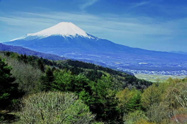 富士山