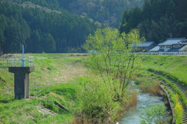 新緑と七瀬川