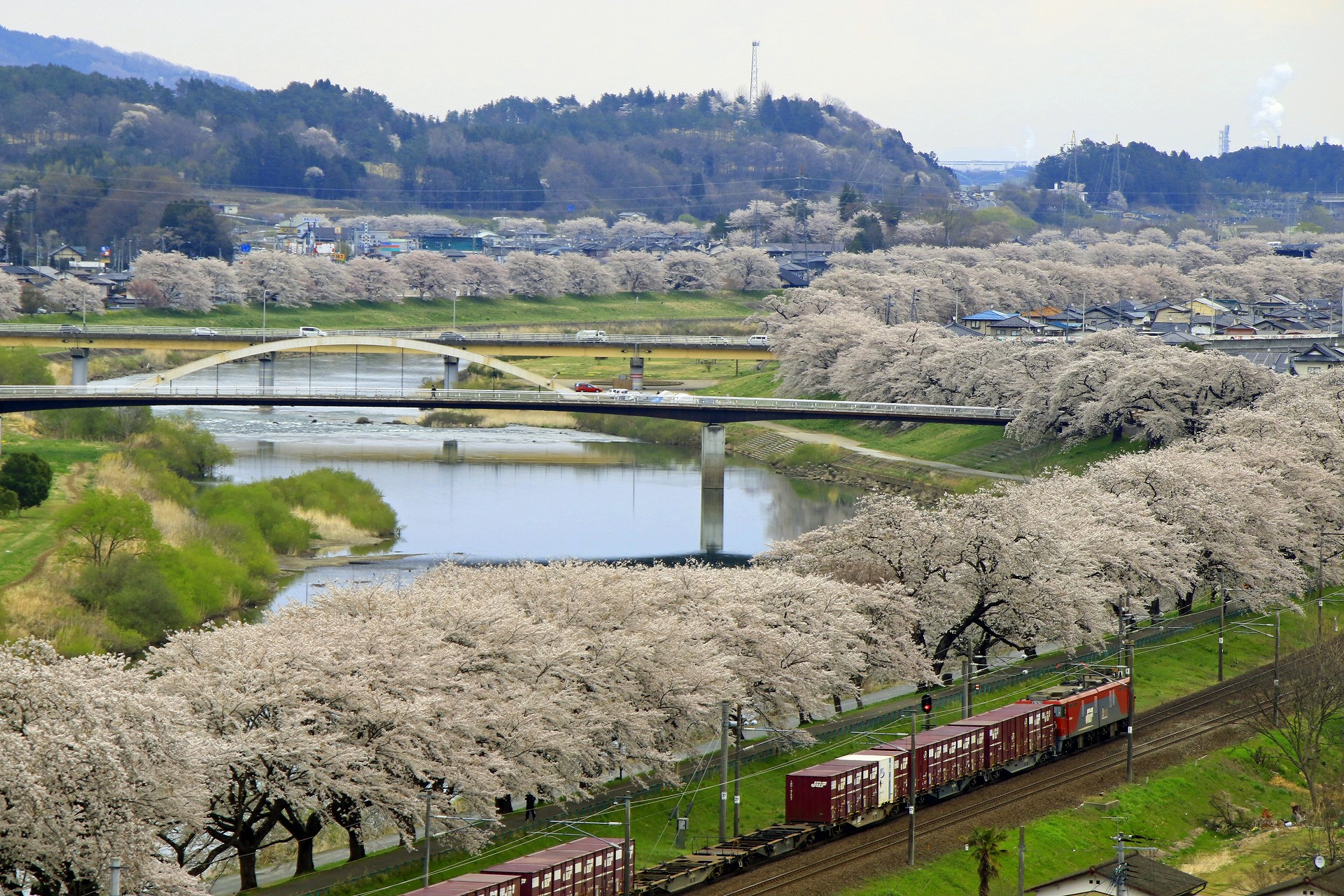日本の風景 白石一目千本桜 壁紙19x1280 壁紙館