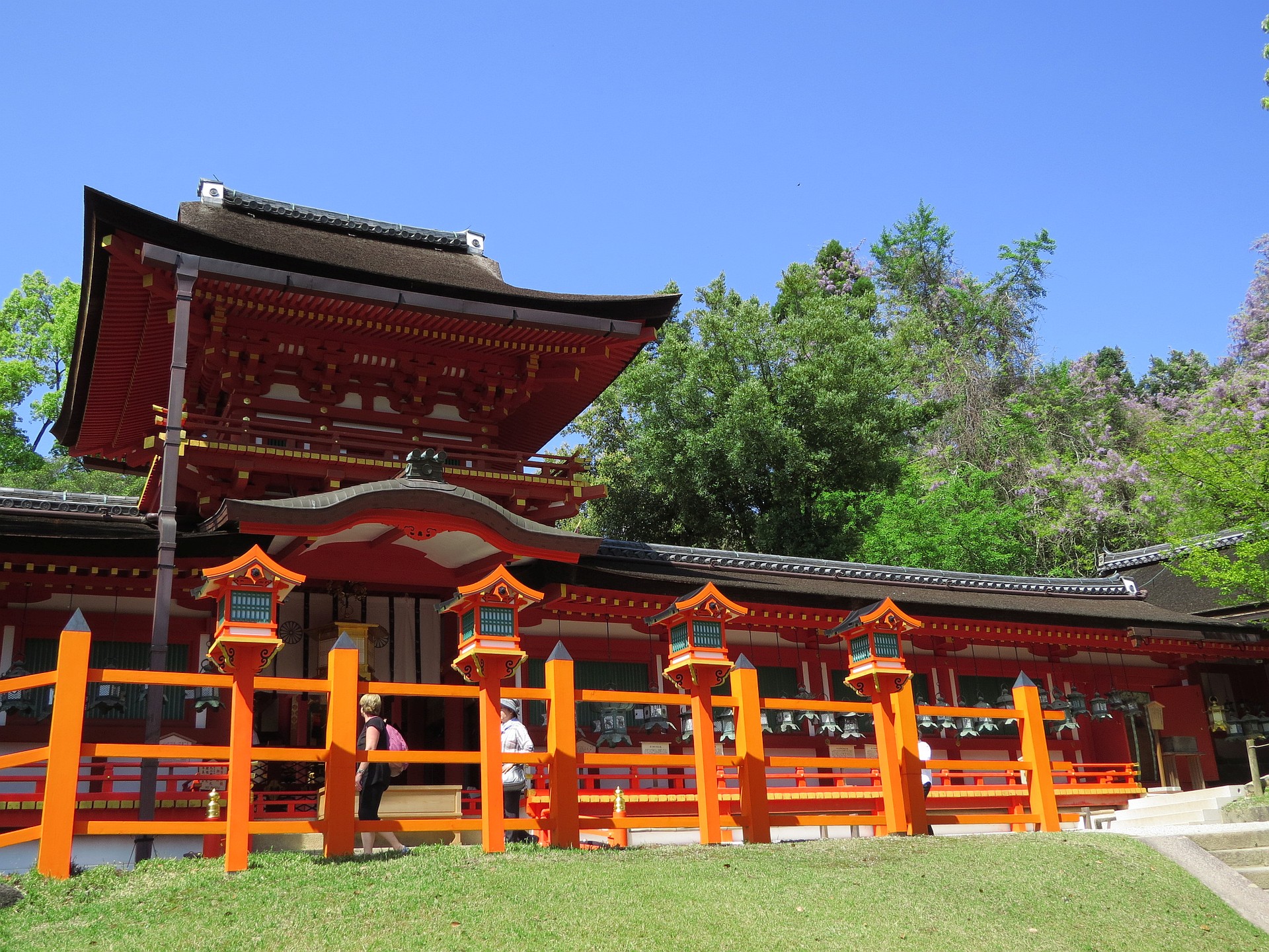 日本の風景 山藤咲く奈良春日大社本殿 壁紙19x1440 壁紙館