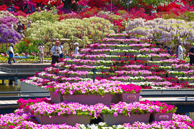 水上花壇