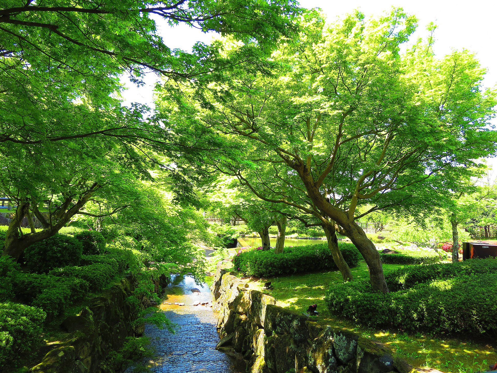 日本の風景 奈良県新公会堂庭園の小川と新緑 壁紙19x1440 壁紙館