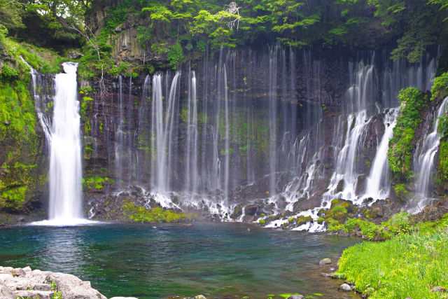 新緑の白糸の滝