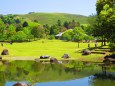 緑の奈良公園に若草山