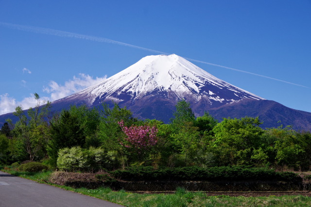 初夏の富士山