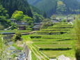 山間集落の春景色