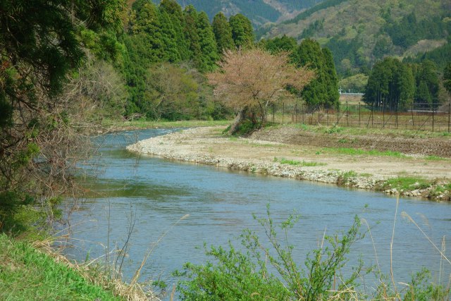 春、竹田川の流れ