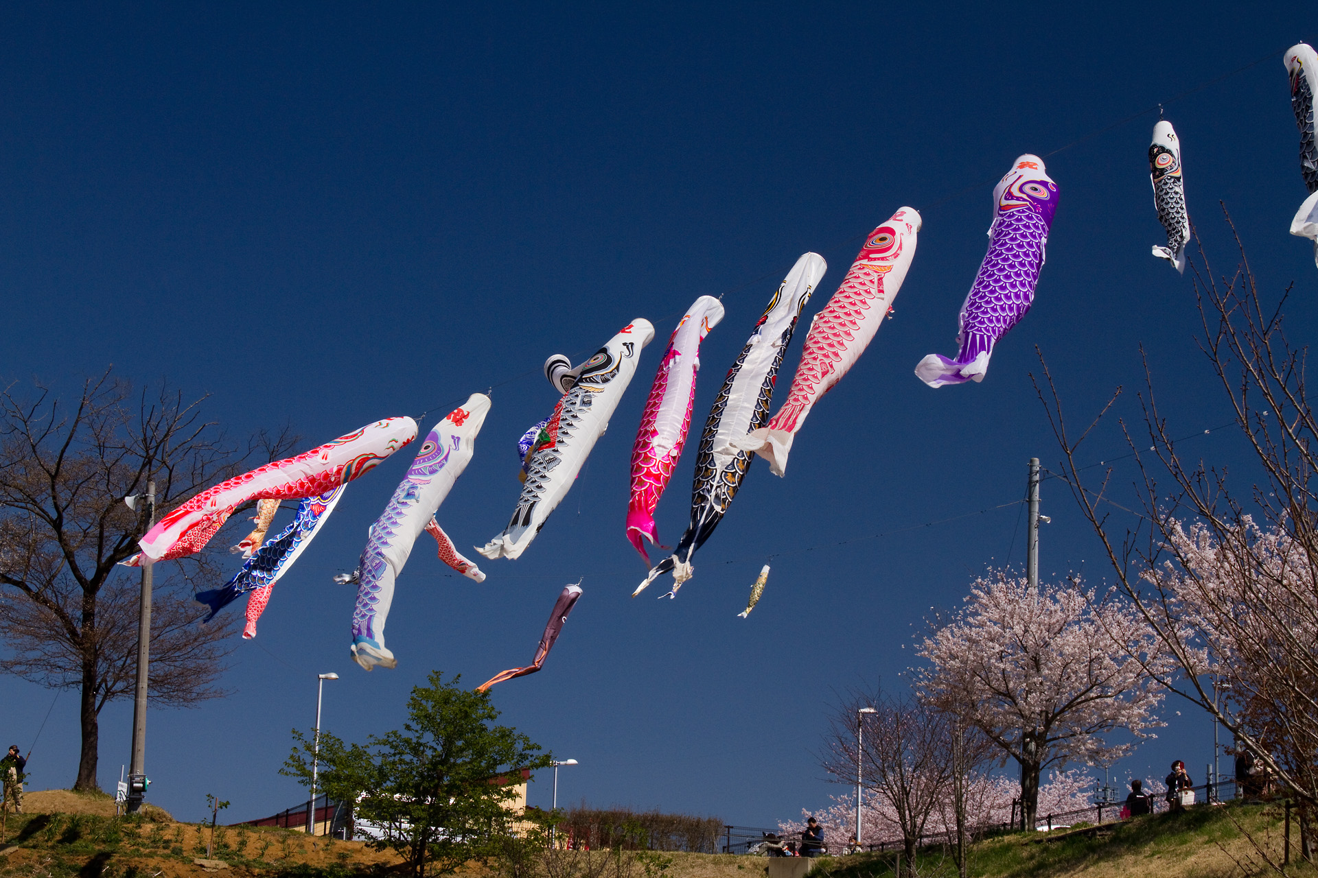 日本の風景 5月5日 壁紙19x1280 壁紙館