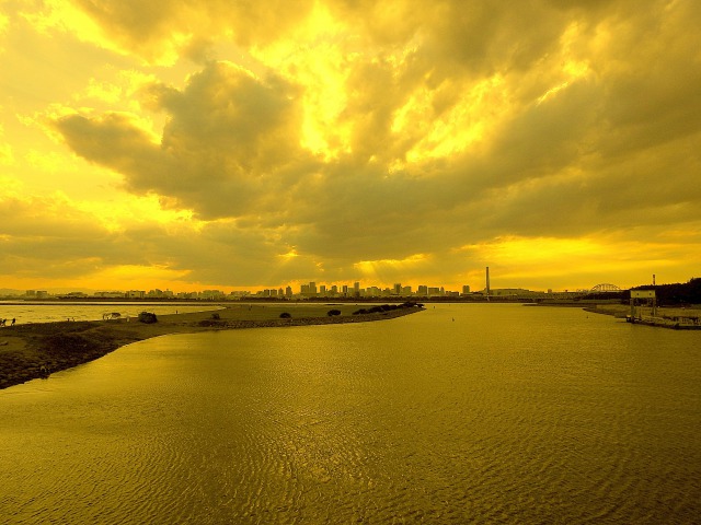 葛西臨海公園の夕景