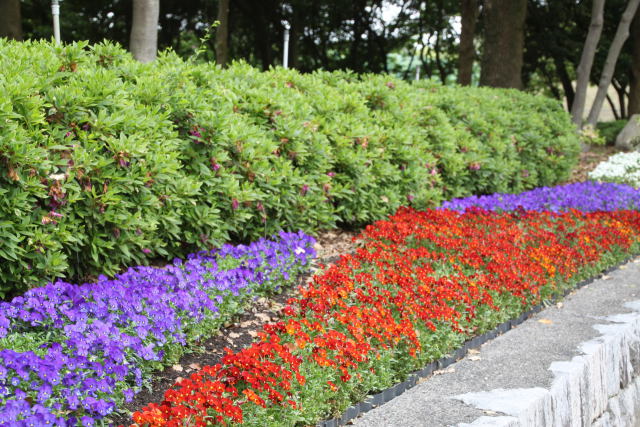 花の道