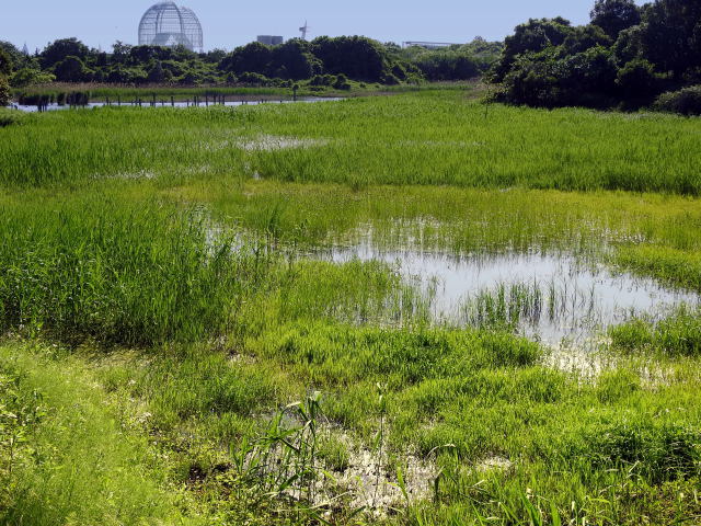 葛西臨海公園にて