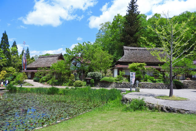 春の国営備北丘陵公園2