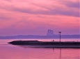 葛西臨海公園の夕景