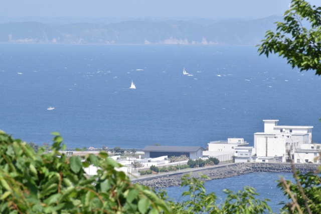 くりはま花の国から望む海