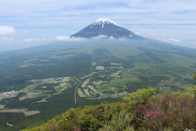 見晴台から望む富士山