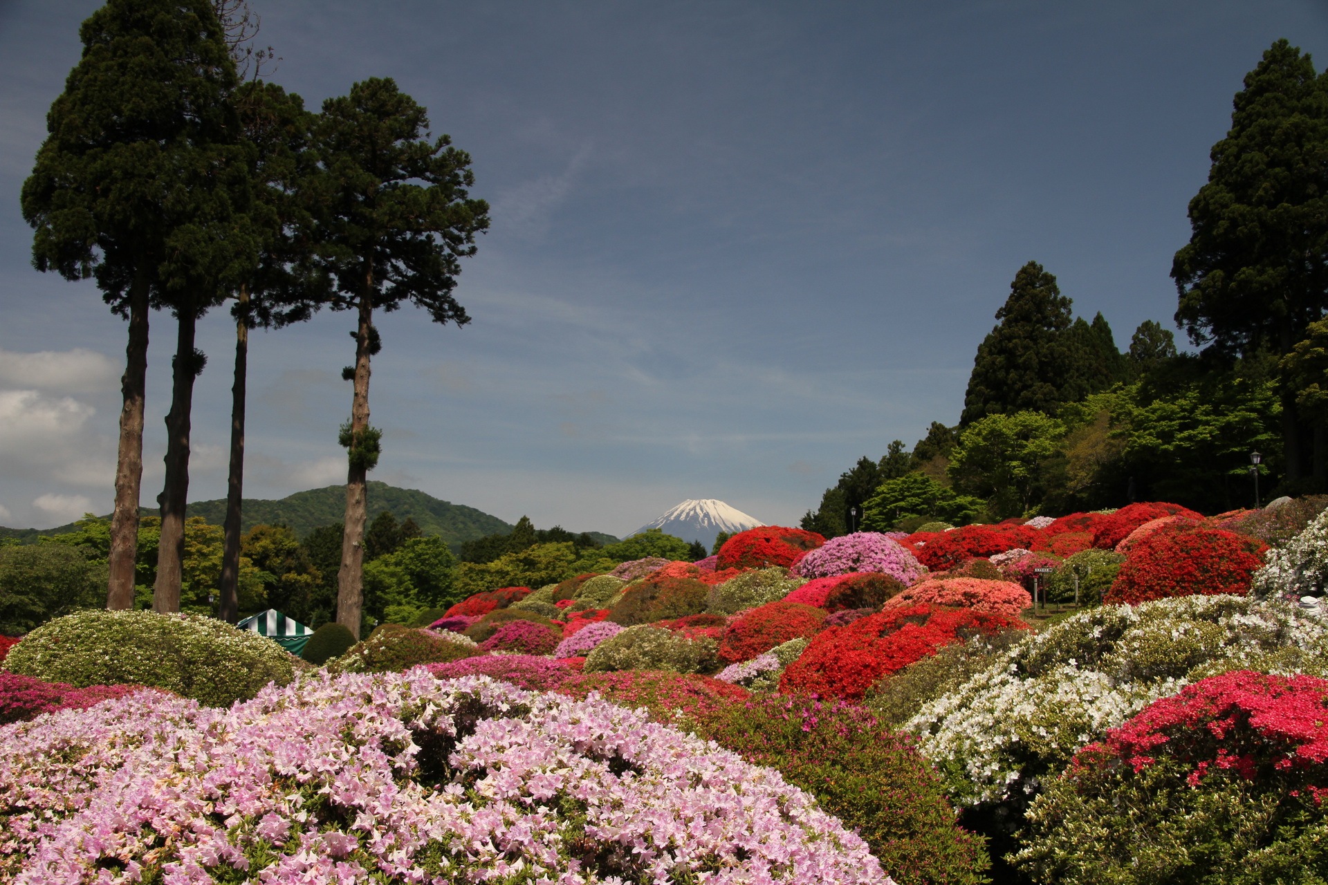 日本の風景 素敵な庭園 壁紙19x1280 壁紙館