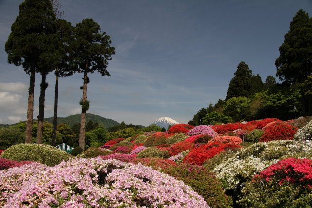 日本の風景 素敵な庭園 壁紙館