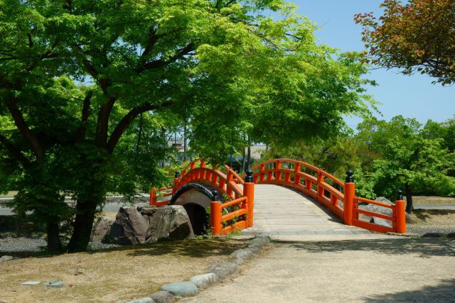 初夏の紫式部公園