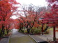 秋の前田公園