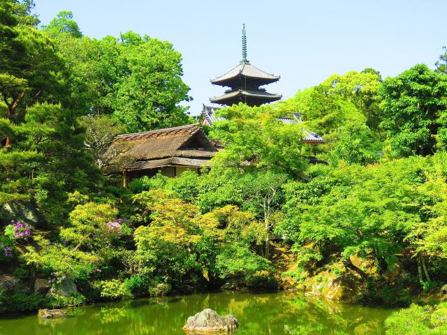 京都仁和寺・飛濤亭と五重塔