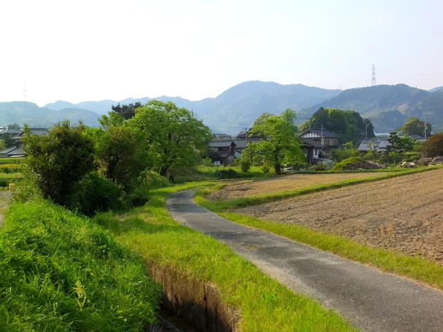 田舎道