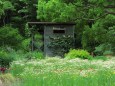 カモミール畑の小屋