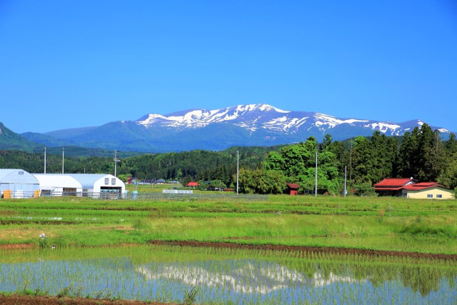 初夏のくりはら