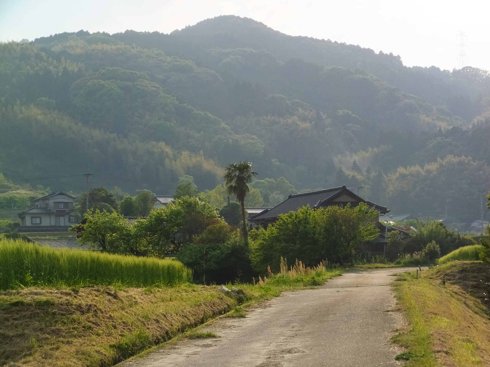 日本の風景 田舎道 壁紙19x1440 壁紙館