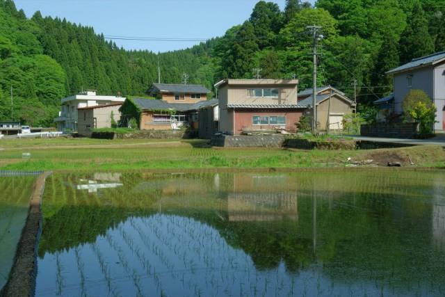 初夏の下一光