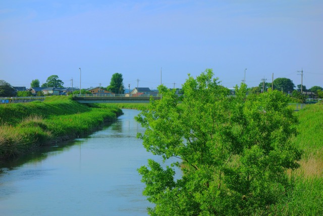 初夏の兵庫川