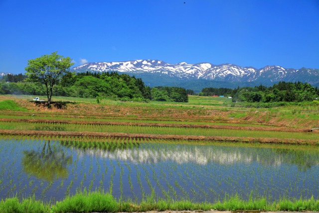 焼石連峰