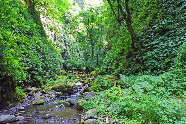 緑の渓谷-小股川渓谷